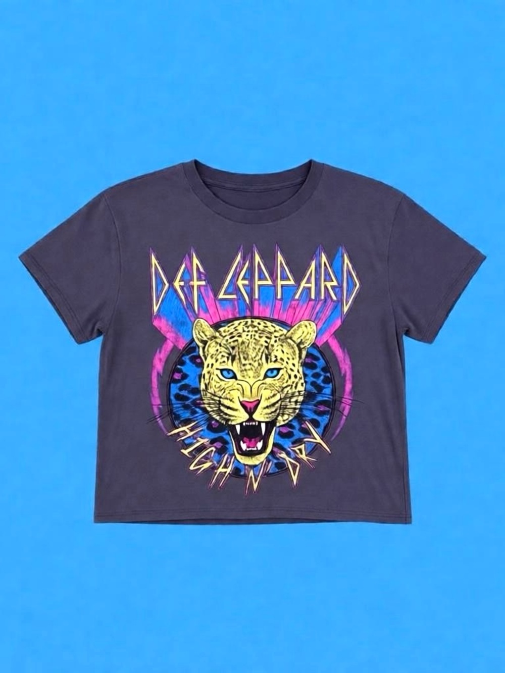 Kids' Graphic Def Leppard Tee - Charcoal with Neon Leopard